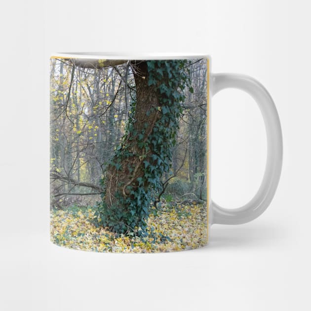 Autumn forest with tree brenches and fallen leaves by KargacinArt